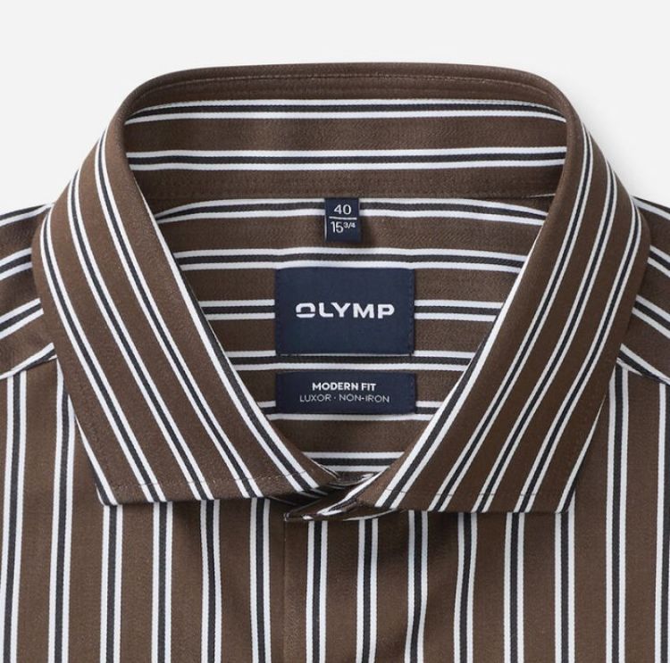 Olymp Luxor Brown
